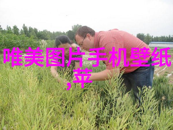 贾乃亮陈思诚一年级选角 小鲜花邢菲狂丢偶像包袱